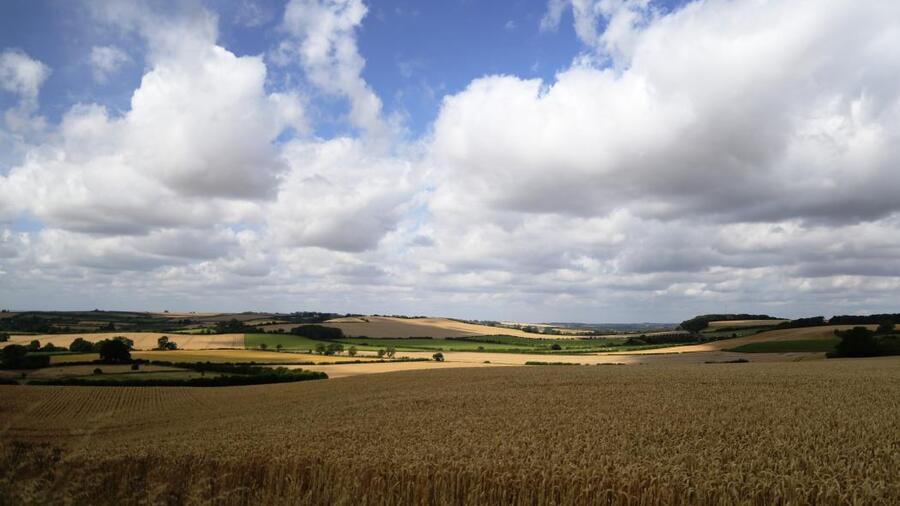 The Lincolnshire Wolds Countryside Service - New Website Launch